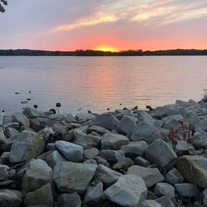 Meet your Posher, Abbie